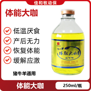 兽用体能大咖猪牛羊马产后体能恢复不吃食长途运输抗应激营养速补