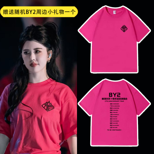 BY2孙涵孙雨十七周年演唱会撇清关系同款周边应援T恤短袖男女同款