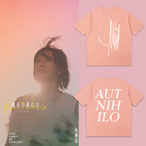 孙燕姿同款2025演唱会应援服男女同款纯棉就在日落以后周边T恤