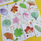 花瓣樱花朵便利贴高颜值有粘性四叶草枫叶树叶子形状便签纸留言条