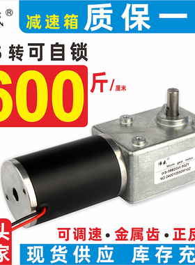 50ZY涡轮蜗杆减速电机自锁12V微型直流调速小马达24V直流减速电机