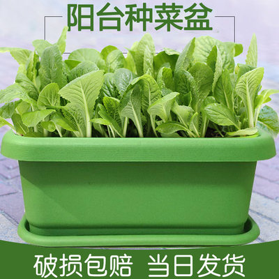 阳台种菜盆长方形塑料花盆家庭蔬菜种植盆种菜神器大号耐用养花盆