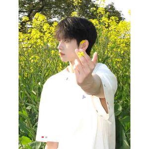 夏季新款潮流百搭时尚高质量刺绣短袖潮牌513DT1548P33图片
