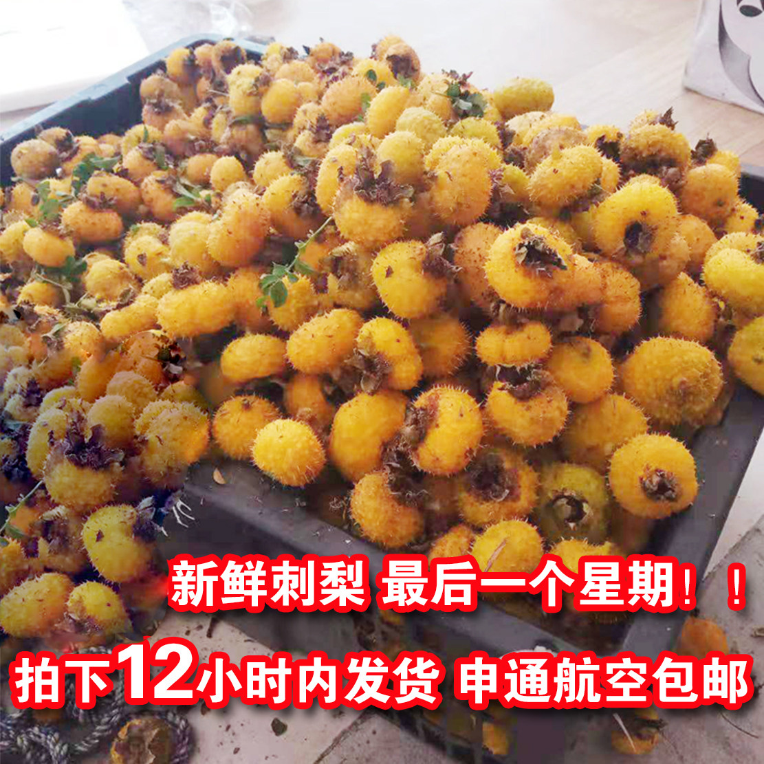 新鲜刺梨野生刺梨果刺梨野生现摘刺梨汁vc果泡酒特级水果新货2斤