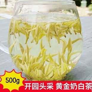 2025新茶早春头采天目湖奶白茶茶叶 明前精品白茶散罐装春茶