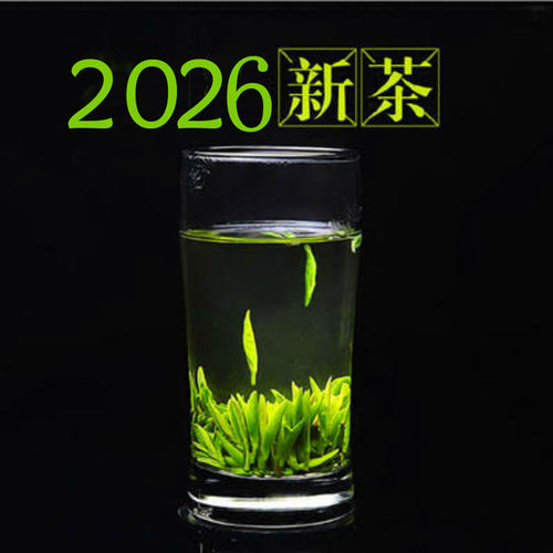 2026新茶雀舌绿茶明前特级小芽翠竹茶叶100g小罐装金坛特产春茶