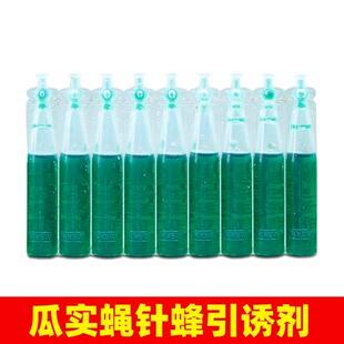 简易果蝇诱捕器盖头果园瓜地桔小实蝇针锋瓜蝇诱引捕捉诱剂瓜蝇剂