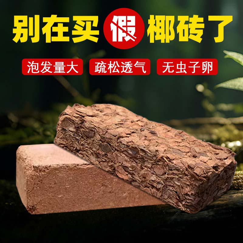 椰砖营养土养花通用型椰糠植物花土种菜泥土脱盐肥多肉土壤种植土