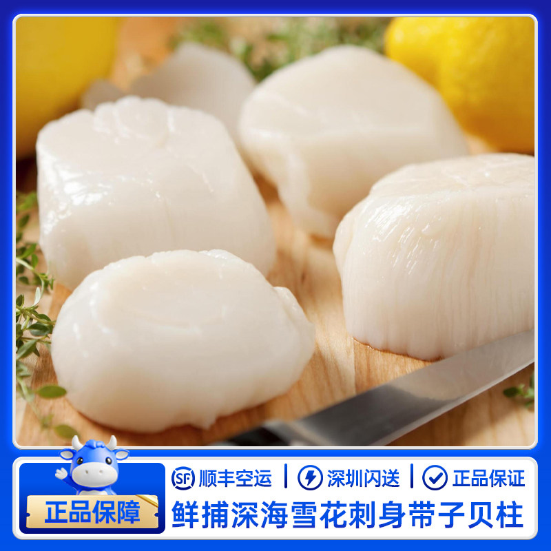 刺身级贝柱特大号带子18-20颗/盒 鲜贝刺身大颗北海道 新鲜扇贝瑶