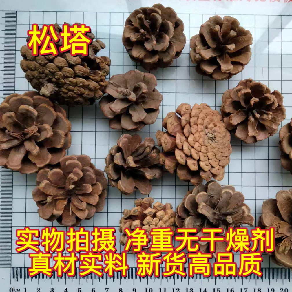 安国中药材市场 松塔 松球 松果椁树核桃蛇皮松果白松果松塔1000g