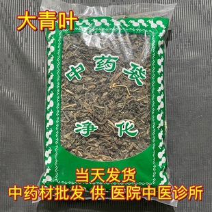 安国中药材市场批 发大青叶 正品新货板蓝根叶子新鲜干货1000克