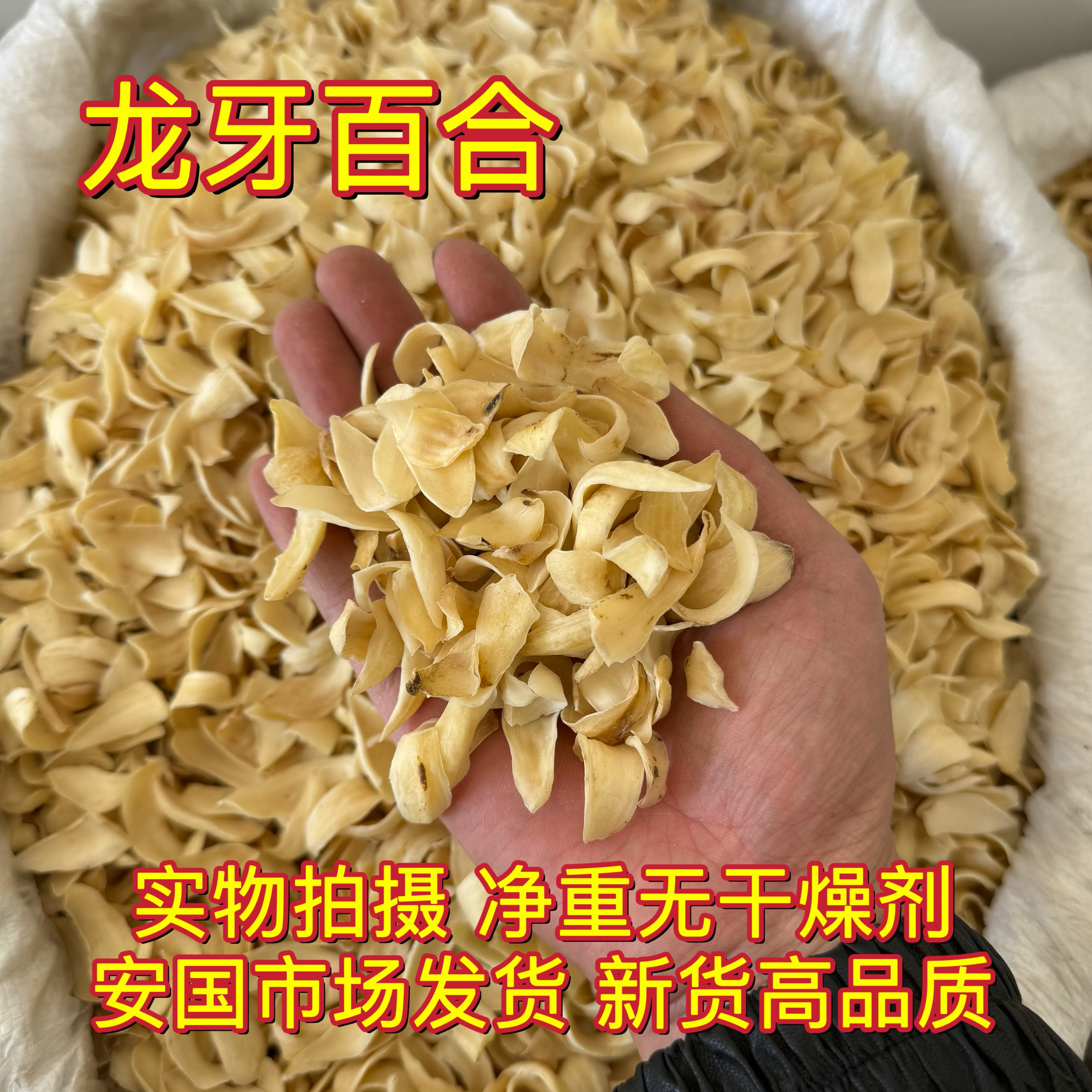 湖南隆回特产正品龙牙百合干 煲汤熬粥食用1000克安国中药材市场