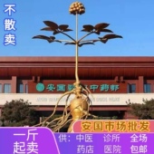 安国中药材批 中药材店铺黄芪酸枣仁当归茯苓 发市场草药大全冷背