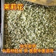 安国中药材市场批 发茉莉花 茉莉花茶浓香型横县茉莉花花干1000克