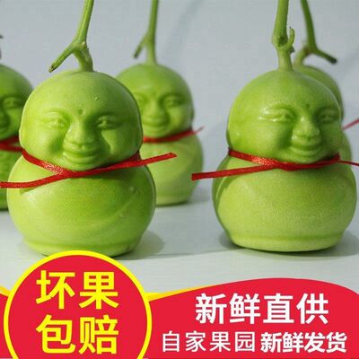 现摘福娃人形人参果水果香甜瓜福娃贡果高档新鲜水果奇葩水果网红