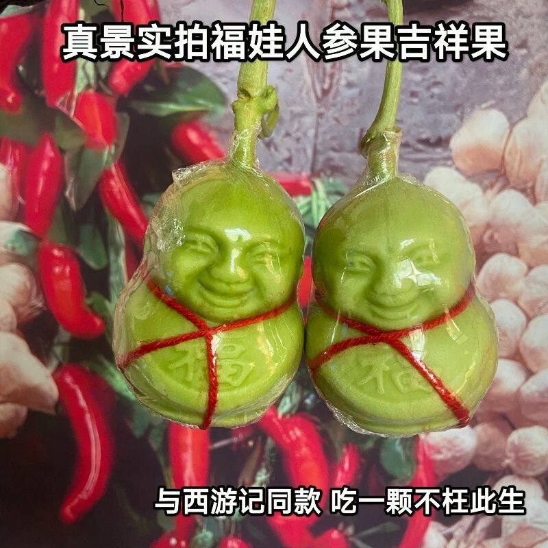 现货速发福娃人参果水果人参果娃娃果人形果长寿果水果包邮西游记