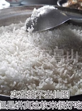 大米新鲜大米 自家种了吃的大米 软米 稻谷 米饭 每份500克