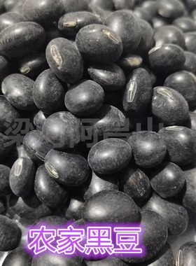 老品种黑豆农家黑豆黑皮绿心豆每份250克