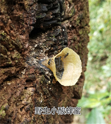 云南特产蜂蜜小酸250克包邮