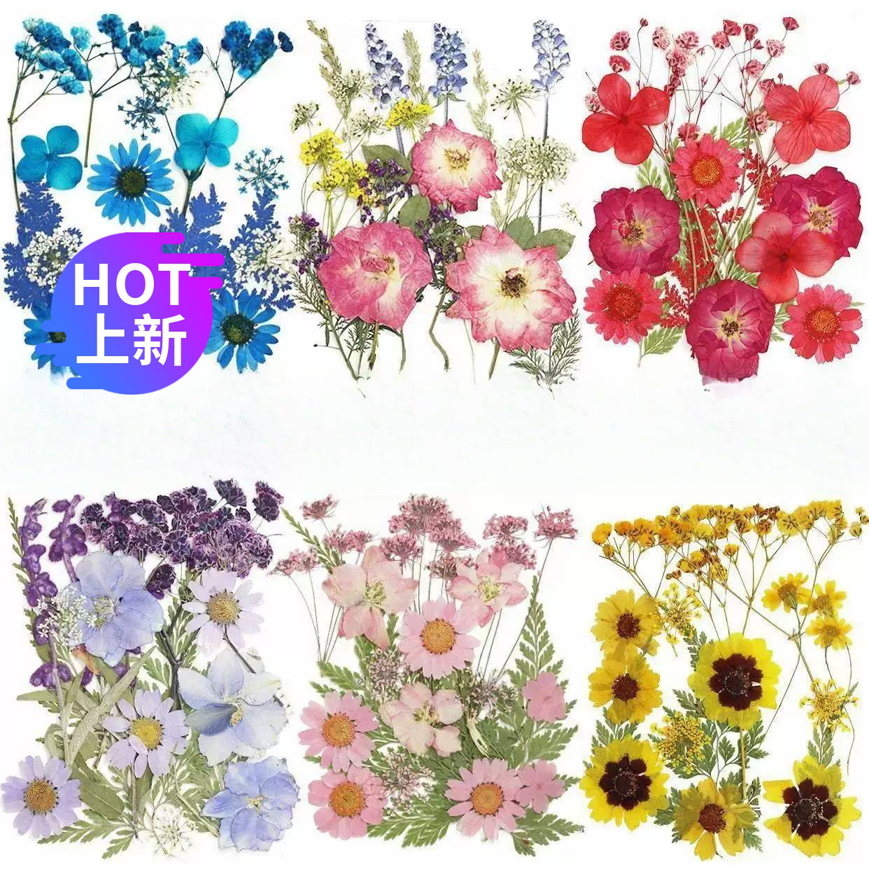干花材料包永生花压花押花手工