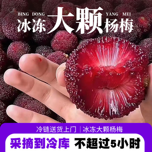 京德福冷冻杨梅新鲜仙居东魁杨梅冰冻速冻泡酒包邮孕妇水果甜味