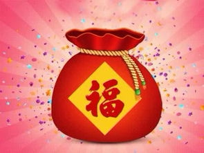 四色小熊T恤（建议拍大一码）