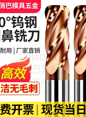 60度钨钢合金圆鼻刀牛鼻子刀立铣刀4R0.5 6R1 8R2 10R3 R1.5加长