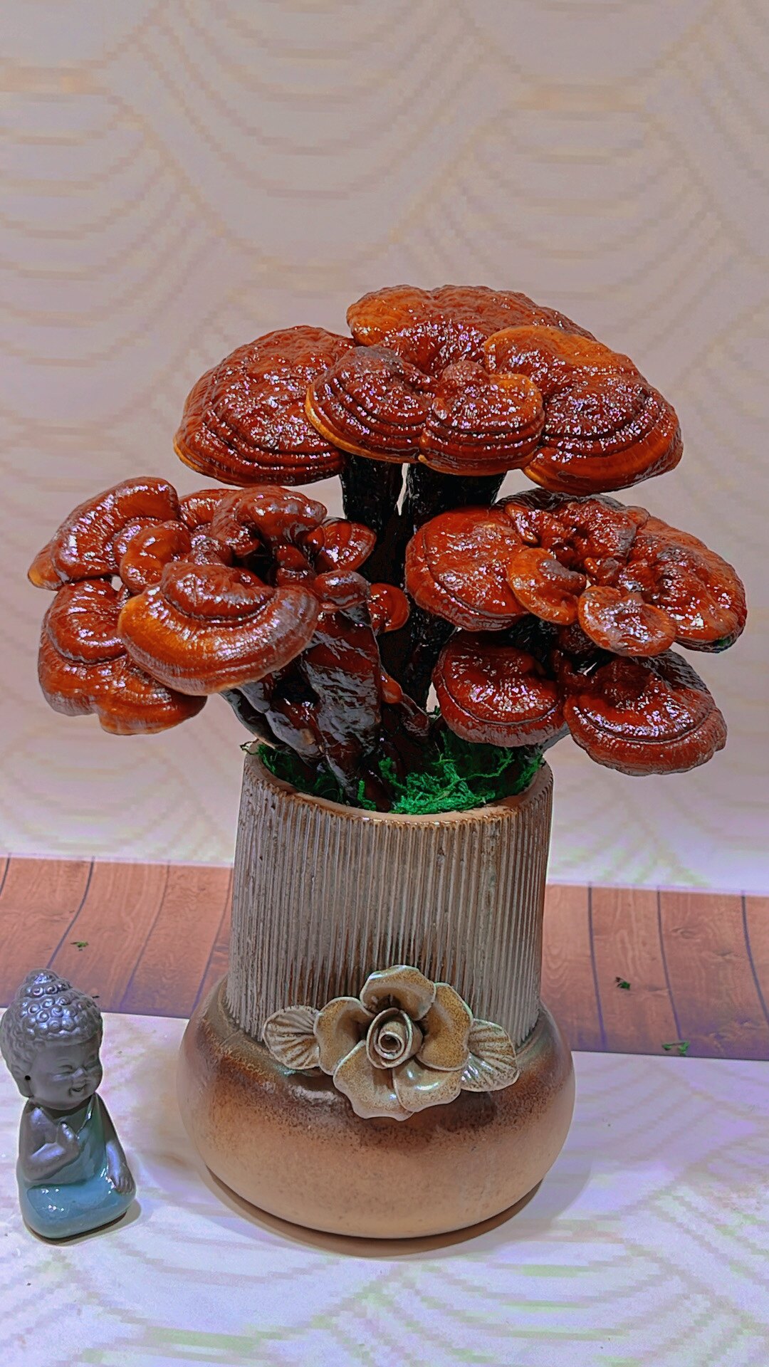 灵芝盆景观赏摆件盆景 室内观赏办公桌 艺术盆景造型 灵芝盆景