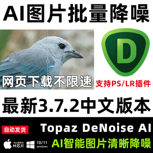 Topaz DeNoise AI 3.7.2中文AI降噪LR去噪点杂色颗粒PS插件WINMac