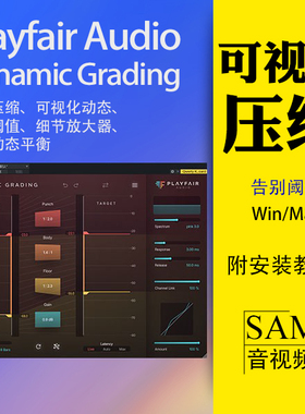 Playfair Audio Dynamic Grading可视化压缩插件WinMac积木动态