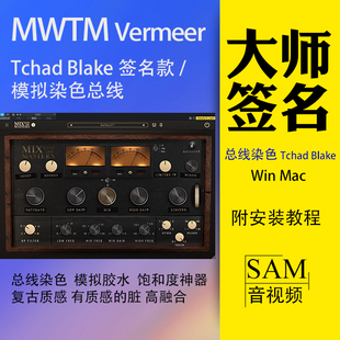 Blake WinMac模拟饱和度Tchad MWTM Vermeer总线染色插件VST3