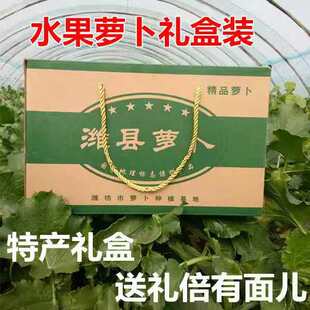 【5斤礼盒装】【精品】正宗潍坊水果萝卜潍县青萝卜夏庄水果萝卜