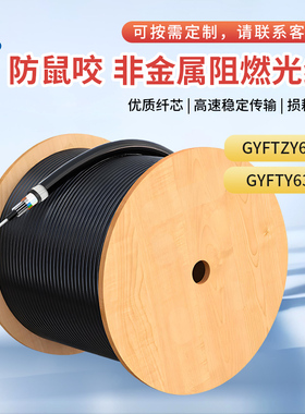 辉宏时代单模非金属阻燃光缆GYFTZY63/GYFTY63防鼠咬4/8/12/24/48
