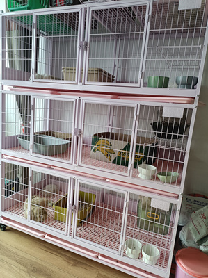 金奥新款垫板款猫笼宠物笼猫笼子宠物店猫舍寄养展示繁育铁板猫笼