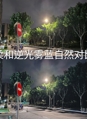 柔和逆光雾蓝自然对比LUT I-LogAcePro2系列GP-Log固件1.20PX100V