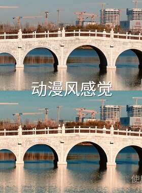 动漫风感觉LUT vivoLogiosF-LogO-LogRec.709Gamma2.4手Fujifilm