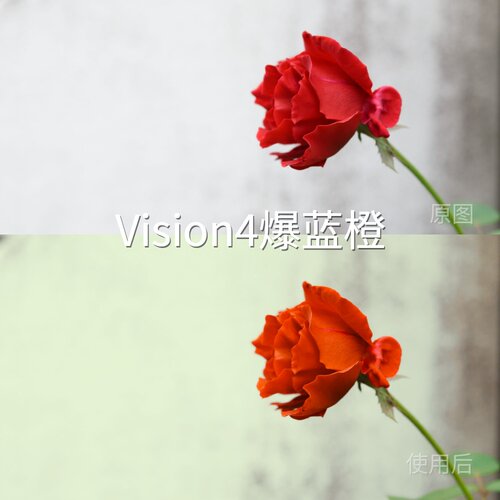 Vision4爆蓝橙LUT C-LogS-Log3FlipD-LogMGP-Log固件1.20AE松下G