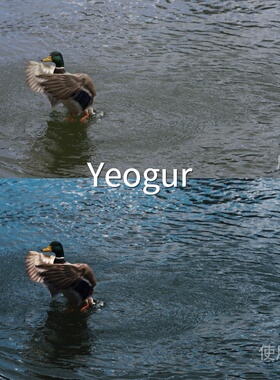 YeogurLUT 极影相机C-Log3O-LogMi-LogS-Log3AppleLog‌GalaxyTab