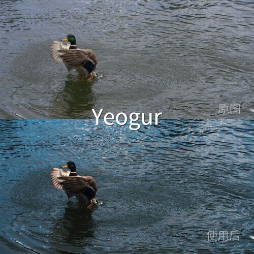 YeogurLUT 极影相机C-Log3O-LogMi-LogS-Log3AppleLog‌GalaxyTab