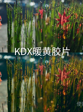 KDX暖黄胶片LUT O-LogRec.2020PQ1000FinalCutProGalaxyLoGoPro12