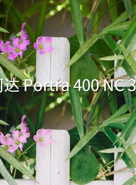 柯达Portra400NC3+LUT H-LogI-LogAcePro2系列F-Log2Apple华为P60