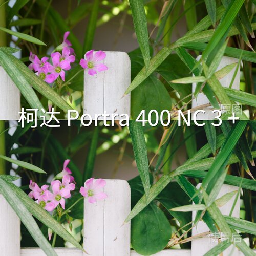 柯达Portra400NC3+LUT H-LogI-LogAcePro2系列F-Log2Apple华为P60