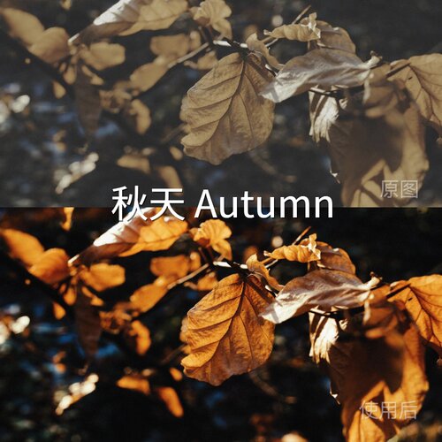 秋天AutumnLUT iosMi-LogF-Log2ipaidVN视频剪辑cube运动相机红米