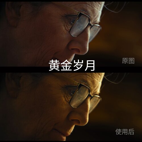 黄金岁月LUT Mi-LogFCPXBlackmagicCameraV-LogD-LogL大疆Action5 - 封面