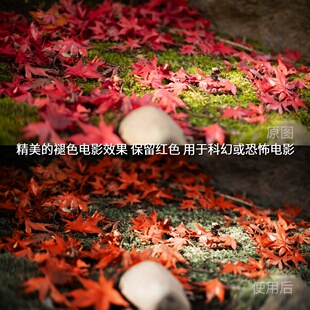 精美 平板A一加Ace 褪色电影效果保留红色用于科幻或恐怖电影LUT