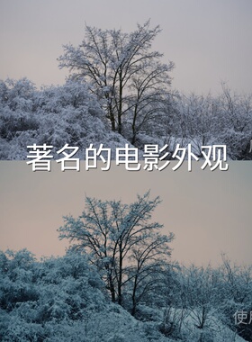 著名的电影外观LUT 平板N-LogO-LogRec.709Gamma2.4达芬奇H-L尼康
