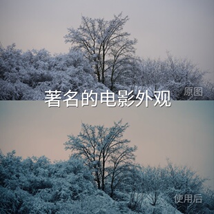 LogO 著名 电影外观LUT 平板N L尼康 LogRec.709Gamma2.4达芬奇H