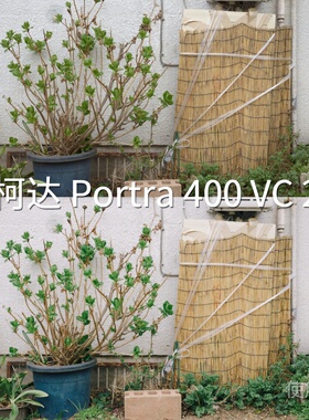 柯达Portra400VC2LUT O-LogO-LogRec.709Gamma2.4S-Log2I-Log富士