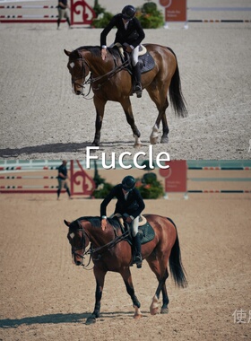 FuccleLUT O-LogRec.2020PQ1000FCPXI-LogX5系列AppleHDRHLGiQOOZ