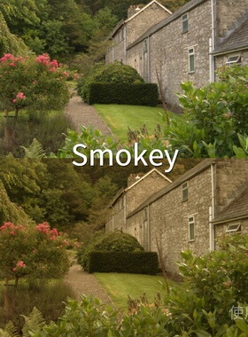 SmokeyLUT O-LogRec.2020PQ1000Log3G10F-LogProPremiereLogC华为